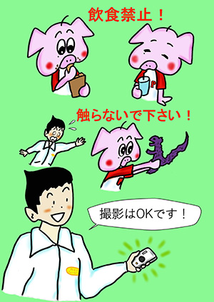 イラスト：ご鑑賞の流れ２